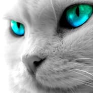 Profile image renny