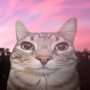 Profile image yo