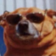 Profile image Nobort