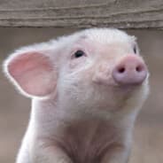 Profile image the two time