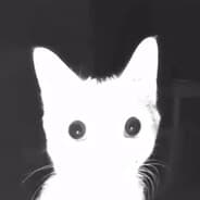 Profile image bzee