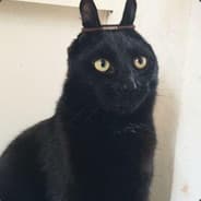 Profile image NoSwear