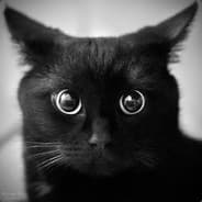 Profile image ุcat lol