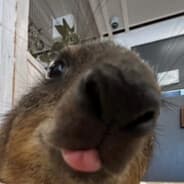 Profile image Gerrit | Redpate