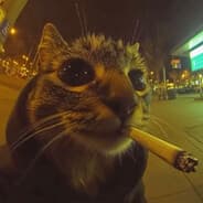 Profile image Haziwa