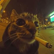 Profile image muertos