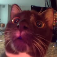 Profile image triicky