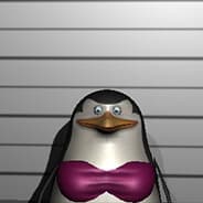 Profile image Megatron