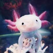 Profile image Blub
