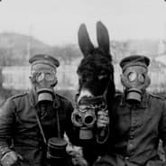 Profile image Rekrut Esel