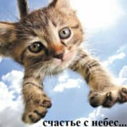 Profile image теряювремя ๑ï