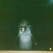 Profile image SchweinFicker