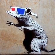 Profile image RoBBin