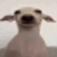 Profile image ratot