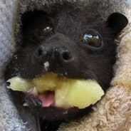 Profile image Im sorry, but this dude