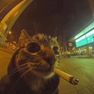 Profile image Haziwa