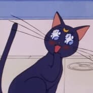 Profile image Flying Cat
