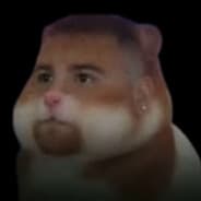 Profile image hiro