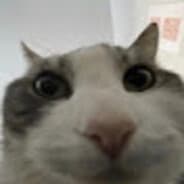 Profile image 51kk3n5