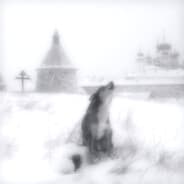 Profile image nordberg