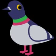 Profile image pigeon