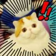 Profile image dobster