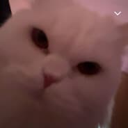 Profile image JohnyVystrik