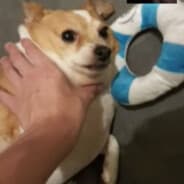 Profile image dakota