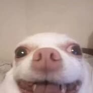 Profile image Lituna
