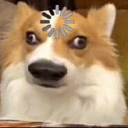 Profile image Saik1N