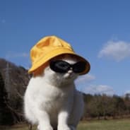 Profile image dOOdOO