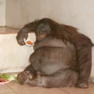 Profile image nice guy