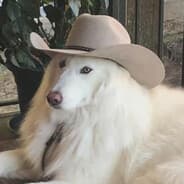 Profile image KonSPiiRacY_KaRL #COMMENCE1776
