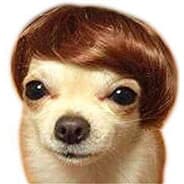 Profile image full focus fast lose