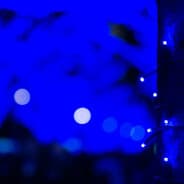 Profile image vinproffely_ins-ane