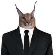 Profile image eleph