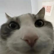 Profile image ѕомеоие.