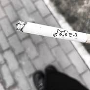 Profile image полина няшка32