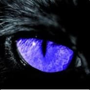 Profile image Æ L'oeil