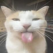 Profile image ofalx
