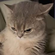 Profile image spas