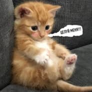Profile image Котя