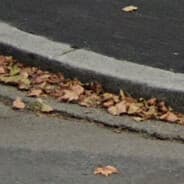 Profile image lè curb