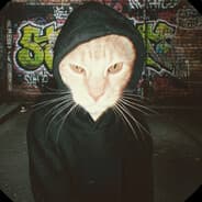 Profile image Kransch