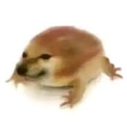 Profile image bzukey