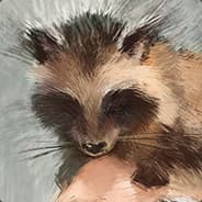 Profile image jiive