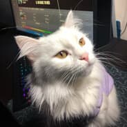 Profile image ivan