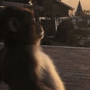 Profile image Tharlund