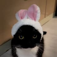 Profile image royssi