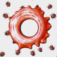 Profile image Enrico Pucci